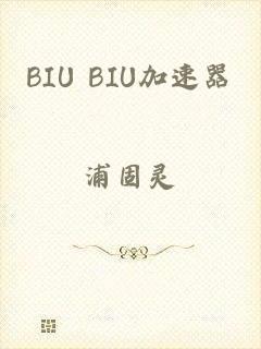 BIU BIU加速器